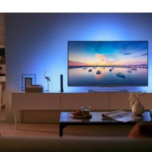 Philips_hue_Play