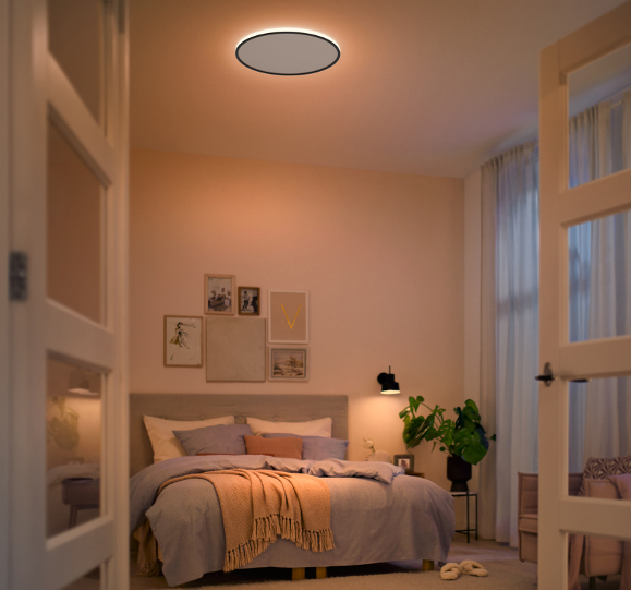 Philips Ozziet Attached Ceiling Light