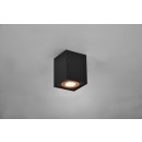 Trio 613000180 Biscuit 1x35W | GU10 | IP20 - variable Lichtrichtungseinstellung, schwarz, gold