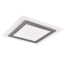Trio 641510207 LED-Deckenleuchte Morgan 1x46W | 6000lm | 2700-6000K | IP20 - einstellbare Lichtfarbe in Stufen + stufenlos einstellbare Lichtfarbe, integrierter Dimmer, Memory-Funktion, Nachtmodus, Fernbedienung, Zeitschaltuhr, Nickel