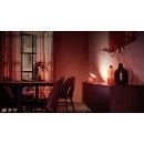 Philips Hue 8719514264564 LED Lampe Iris 4 Generation 1x8,1W | 2000-6500K - Bluetooth, White and Color Ambiance, kupfer, Limited Edition