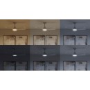Philips 8721103096005 LED Ventilator mit Licht Olas  | 30W integrierte LED-Quelle | 2650lm | 3000-6500K | Dimmer | Fernbedienung | weiß