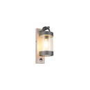 Trio T204169135 Außenwandleuchte SAMBESI  E27