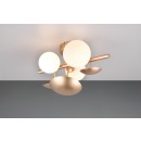 Trio SELECT  T217400379 Wandleuchte BUBBLE   G9