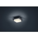 TRIO 228960142 Hondo Außenwandleuchte SMD 1x4W 330lm 3000K IP54