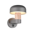 Trio T262569135 Außenwandleuchte FRASER  E27