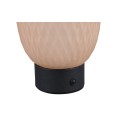 Trio T564210113 LED Tischlampe FACETTE | 1,5W integrierte LED-Quelle