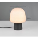 Trio T568200132 Tischlampe STEEN  E14