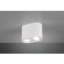TRIO 612900231 Decken- und Spotleuchte Cookie 2x35W|GU10