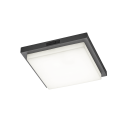 Trio T630369242 LED Deckenleuchte BERMEJO  | 14W integrierte LED-Quelle | 1x1450lm | 2300+3000+4000K | Bewegungssensor | anthrazit