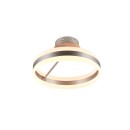 Trio 631410107 LED Deckenleuchte DIOS | 21W integrierte LED-Quelle | 2400lm | 2300+3000+4000K | Dimmer