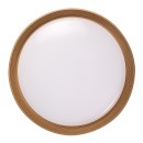 Rabalux 98071308 LED Deckenleuchte Ladan  | 48W integrierte LED-Quelle | 3000lm | 3000-6500K