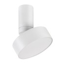 Rabalux 98071327 LED Deckenleuchte Ovidia  | 16W integrierte LED-Quelle | 800lm | 3000K