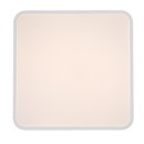 Rabalux 98071423 LED Außen-Deckenleuchte Alenzo  | 36W integrierte LED-Quelle | 2350lm | 3000+4000+6500K