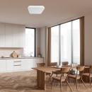 Rabalux 98071423 LED Außen-Deckenleuchte Alenzo  | 36W integrierte LED-Quelle | 2350lm | 3000+4000+6500K