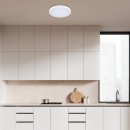 Rabalux 98071427 LED Außen-Deckenleuchte Alenzo  | 24W integrierte LED-Quelle | 1600lm | 3000+4000+6500K