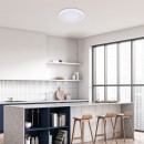 Rabalux 98071429 LED Außen-Deckenleuchte Alenzo  | 36W integrierte LED-Quelle | 2450lm | 3000+4000+6500K