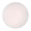 Rabalux 98071430 LED Außen-Deckenleuchte Alenzo | 36W integrierte LED-Quelle | 2450lm | 3000-6000K