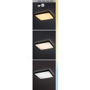 Rabalux 98071432 LED Außen-Deckenleuchte Alenzo | 24W integrierte LED-Quelle | 1450lm | 3000+4000+6500K