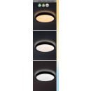 Rabalux 98071438 LED Außen-Deckenleuchte Alenzo  | 24W integrierte LED-Quelle | 1500lm | 3000-6000K