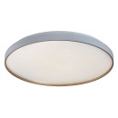 Rabalux 71453 LED Deckenleuchte Zerava | 60W integrierte LED-Quelle | 4100lm | 3000-6500K | Fernbedienung | Dimmer | gold