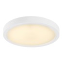 Rabalux 75073 LED Außen-Deckenleuchte ShaunPlus | 30W integrierte LED-Quelle | 3000lm | 4000K | weiß