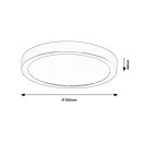 Rabalux 75076 LED Außen-Deckenleuchte ShaunPlus | 30W integrierte LED-Quelle | 3000lm | 4000K | schwarz