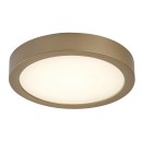 Rabalux 75078 LED Außen-Deckenleuchte ShaunPlus | 24W integrierte LED-Quelle | 2600lm | 4000K | gold