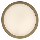 Rabalux 75079 LED Außen-Deckenleuchte ShaunPlus | 30W integrierte LED-Quelle | 3000lm | 4000K | gold