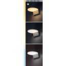 Rabalux 98077117 LED Außenwandleuchte Batida  | 9W integrierte LED-Quelle | 900lm | 3000+4000+6500K