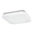 Rabalux 98077134 LED Außen-Deckenleuchte Lowar  | 12W integrierte LED-Quelle | 750lm | 3000+4000+6500K