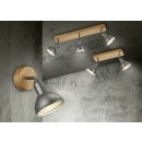 TRIO 803400267 Decken- und Spotleuchte Delhi 2x40W|E14