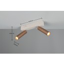 Trio T849210265 LED Spot-Deckenleuchte AMBALA  | 5W integrierte LED-Quelle | 2x500lm | 2300+3000+4000K | braun