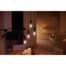 Philips Hue 8719514301467 LED Filament ST64 1x7w | E27 | 550lm | 2200-4500k - dimmbar, Bluetooth, White Ambiance