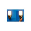 Philips WiZ 8720169072114 LED Außenleuchte mit Kamera | 17W integrierte LED-Quelle | 2700K