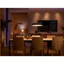 Philips Hue 41162/30 / P6 LED Hängende Deckenleuchte Anregungen + Hue Switch 1x335w | 4300lm | 2200-6500K - dimmbar, Bluetooth, White Ambiance, schwarz