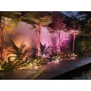 Philips Hue 17466/30 / P7 LED Außen Wandleuchte Amarant 1x20w | 1400lm | 2000-6500K | RGB | IP65 - White and color Ambiance, schwarz