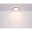 Globo 41764-24 LED-Deckenleuchte Bruno 1x24W | 1000lm | 3000-4500-6000K - opal, schwarz, braun