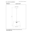Lucide L104160166 Pendelleuchte WOOLLY  E27