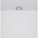 Globo 41767R LED Deckenleuchte CLAY  | 24W integrierte LED-Quelle | 1370lm | 2700-6500K