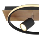 Globo 67309-36 LED Deckenleuchte DANNY | 36W integrierte LED-Quelle | 2020lm | 3000K