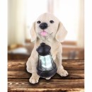 Globo 33372 LED Außen Solarleuchte Hund 1x0,06W | 4000K | IP44 - dekorativ