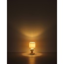 Globo HERMES 21732G Tischlampe E14