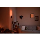 Philips Hue 40902/30/P7 Wandleuchte Liane 1x12W| 2000-6500K | RGB - White and Color Ambiance