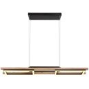 Globo 67266H LED Deckenleuchte Illa 1x30W | 1000lm | 3000K - opal, braun, schwarz