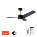 Immax NEO LITE 07280L LED Ventilator mit Licht BEAUTY  integrierte LED-Quelle