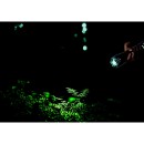 Globo LIGHTA 31919 LED Zubehör | 3W LED | 100lm | 55000K