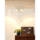 Lucide 09988/24/31 LED Decken- und Spotleuchte Specktrum 2x12W | G53 | 2700K