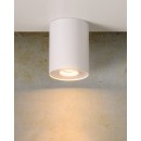 Lucide 22952/01/31 Decken- und Spotleuchte Tube 1x35W | GU10