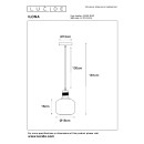 Lucide L454081862 Pendelleuchte ILONA  E27